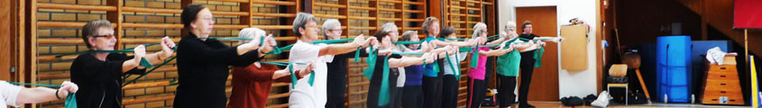 Gymnastikdamer ved ribber