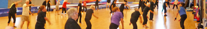 Gymnastikhold